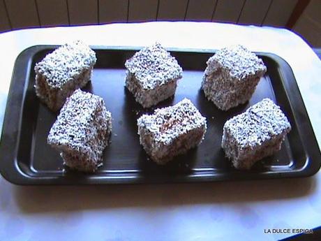 LAMINGTONS. DISEÑOS POR EL MUNDO. ¡ AUSTRALIA!