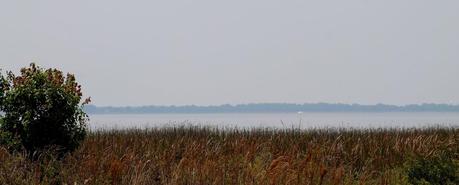 Lago East Tohopekaliga al comienzo de la ruta