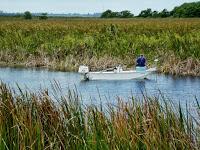 Pescando en el canal