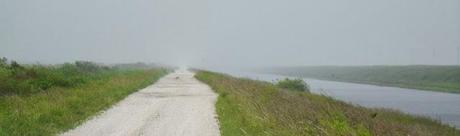 Lloviendo en los Everglades