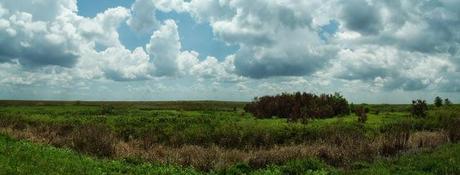 Panorámica de la Rotenberger Wildlife Managemente Area