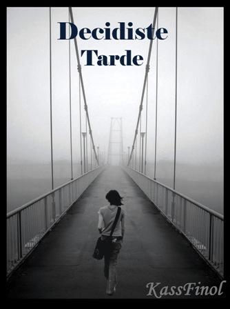 Decidiste Tarde by Kassfinol (Reseña)