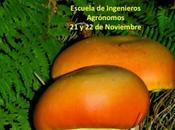 XVII Jornadas Micológicas-Gastronómicas Saceruela