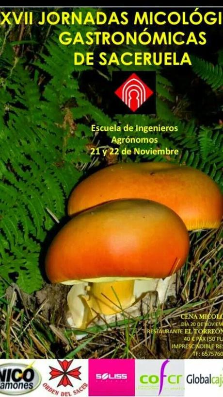 XVII Jornadas Micológicas-Gastronómicas de Saceruela