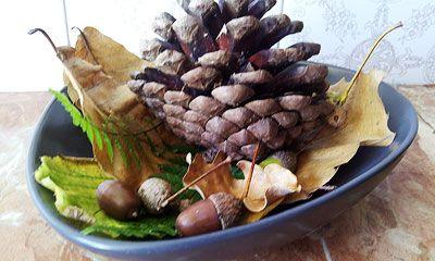 CENTRO DE OTOÑO CENTRO DE OTOÑO