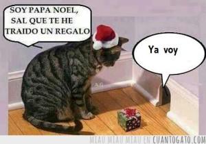 #la trampa de la amnistía fiscal