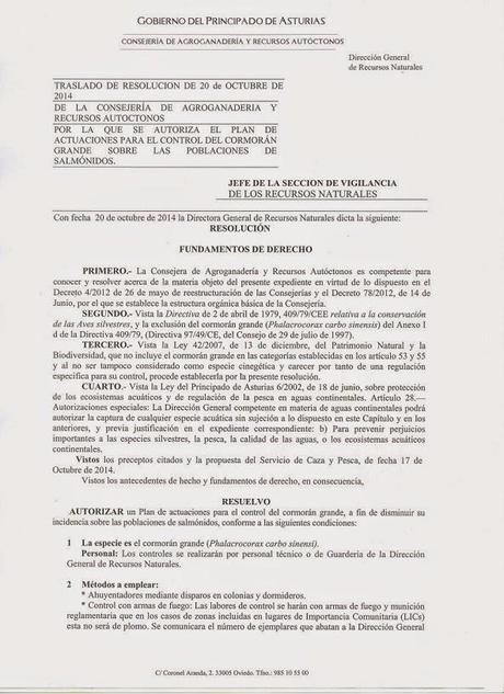 Temporada de matanzas en Asturies: un año mas Temporada de matanzas en Asturies: un año mas