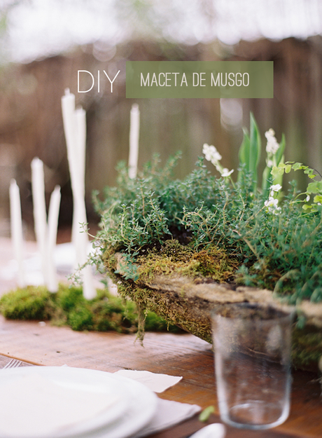 DIY: centros y macetas con musgo