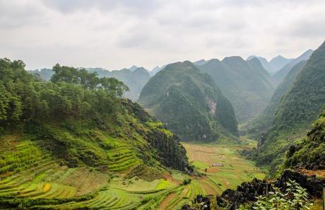 Arrozales en altura - Loop QL34 road Arrozales en altura - Loop QL34 road
