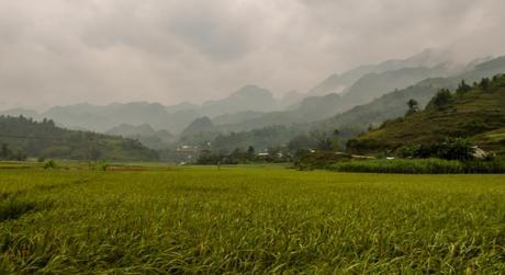 Campos de cultivo con paisajes increibles - Loop QL34 road Campos de cultivo con paisajes increibles - Loop QL34 road