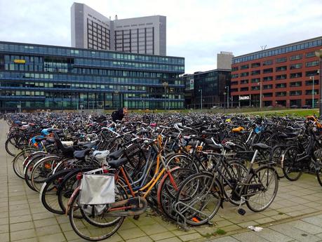 Viaje a Amsterdam. Un fin de semana perfecto.