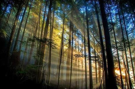 Fondos de escritorio 17 4