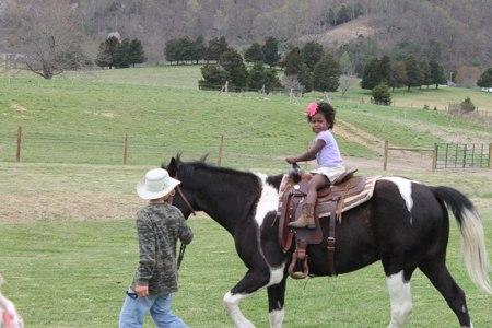 animales de granja en inglés con los sonidos