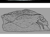 Georgeos Díaz-Montexano: Asturias halló primer “hipocampo” “caballo marino” historia.