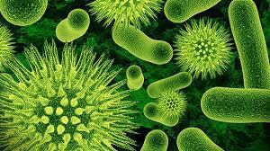 farmaceuticainmavinue