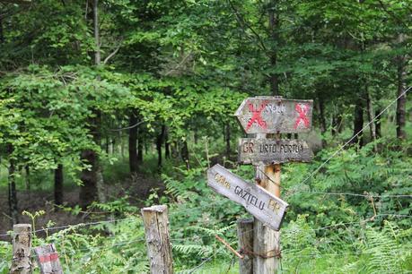 Uli, por caminos de brujas, una excursión Areso - Gaztelu