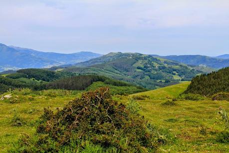 Uli, por caminos de brujas, una excursión Areso - Gaztelu Uli, por caminos de brujas, una excursión Areso - Gaztelu
