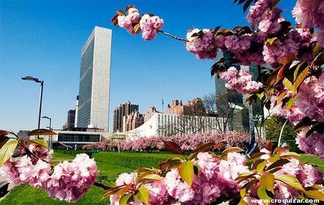 NYC-060-UNITED NATIONS HEADQUARTERS-11