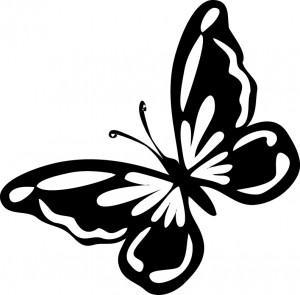 mariposa