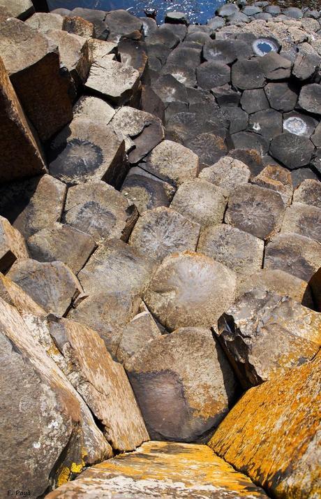 Calzada del Gigante (Irlanda del Norte)