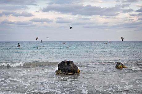 ISLA DE TABARCA