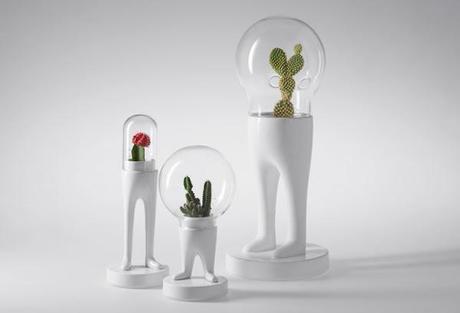 Domsai :: los terrarios de Matteo Cibic Domsai :: los terrarios de Matteo Cibic