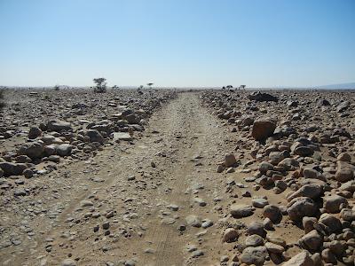 LA RUTA DEL LAGO MUERTO