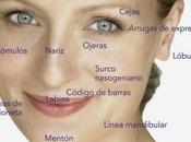 ¿Para sirve Ácido Hialurónico?