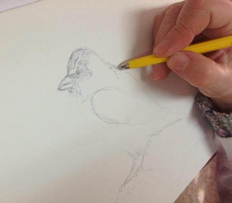 punta-de-plata-dibujo-materiales-noticias-totenart