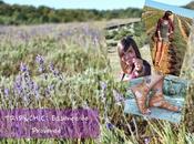 Essence Provence