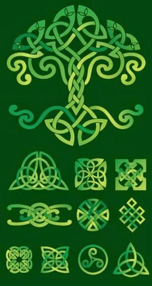 Viernes cucurbitáceo Viernes cucurbitáceo