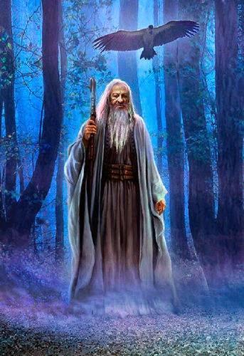 Viernes cucurbitáceo Viernes cucurbitáceo