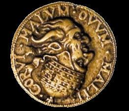 Viernes cucurbitáceo Viernes cucurbitáceo