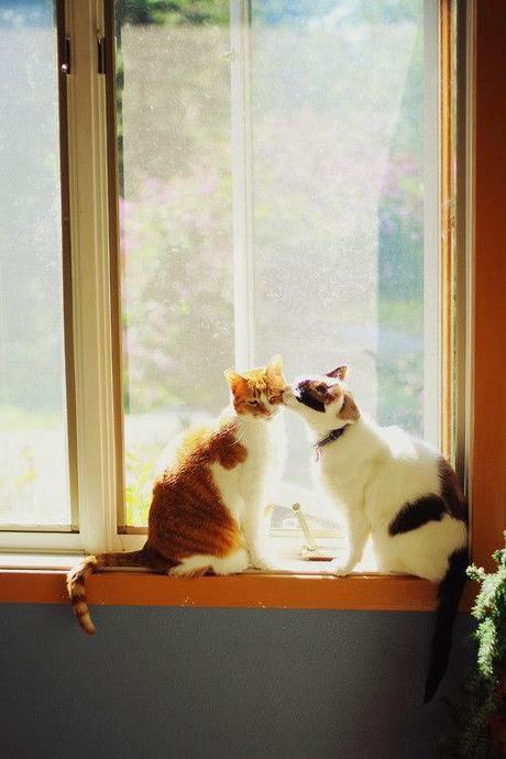 San Viernes en vísperas