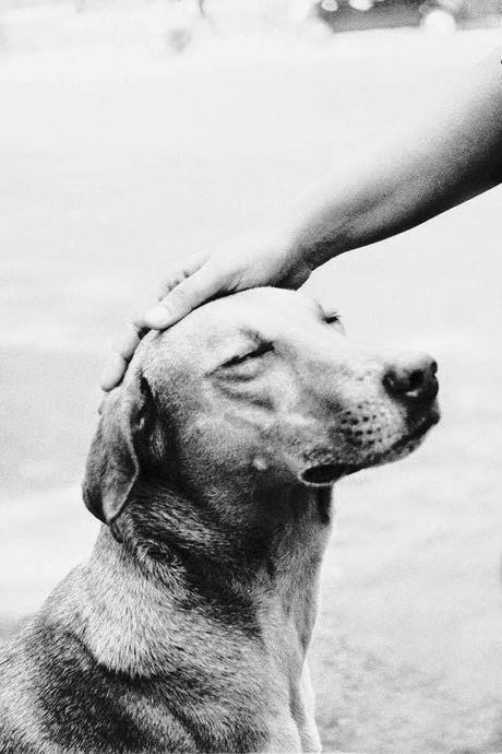 San Viernes en vísperas