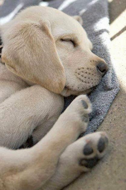 San Viernes en vísperas