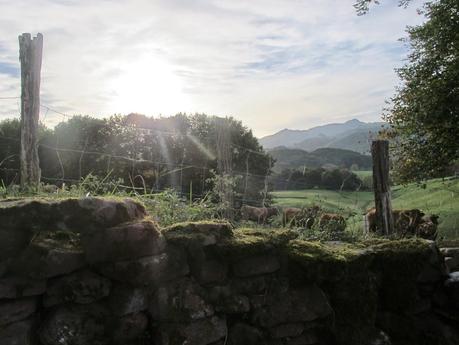 Algún paseo bonito.....