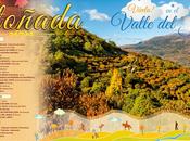 #Otoñada2014 edición otoñada Valle Jerte