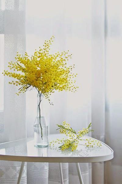 Decorando con plantas / Decorating with plants