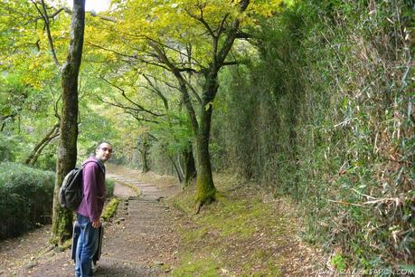 ¿Como viajar a HAKONE? Aventura amorosa parte 2