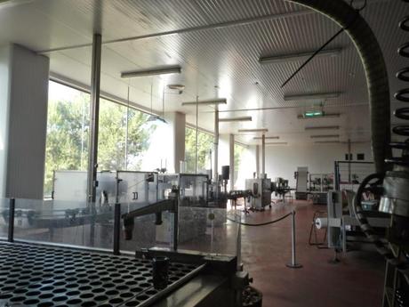 Visita a las cavas Vilaranau. Sant Sadurní d'Anoia