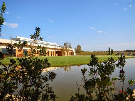 Visita a las cavas Vilaranau. Sant Sadurní d'Anoia