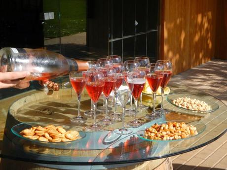 Visita a las cavas Vilaranau. Sant Sadurní d'Anoia