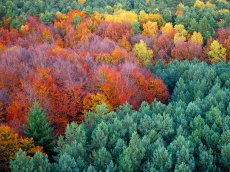 De nuevo el otoño