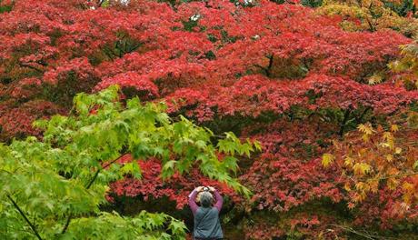 De nuevo el otoño