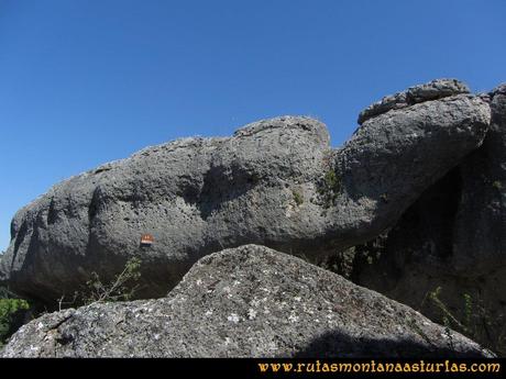 Ciudad Encantada: Tortuga