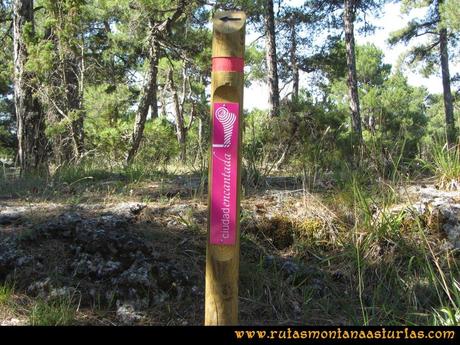 Ruta Senderista en Cuenca: La Ciudad Encantada