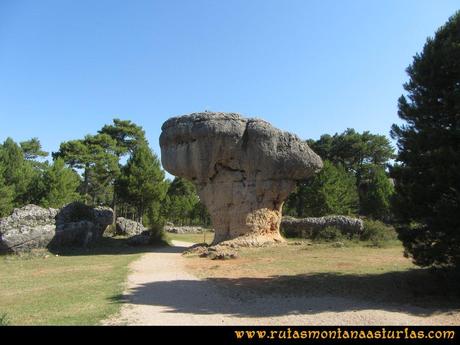 Ciudad Encantada: Formación en forma de árbol sin nombre