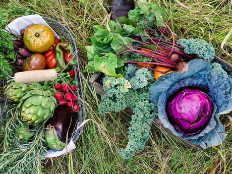 LA ULTIMA CENA, EN EL JARDÍN