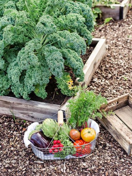 LA ULTIMA CENA, EN EL JARDÍN